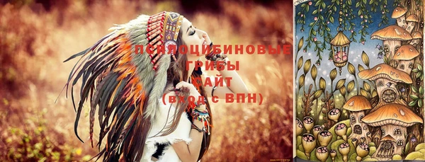 дурь Балахна
